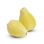 بوكس جوافة مصري