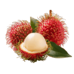 باكيت رمبوتان