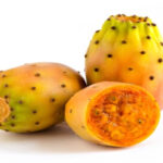 كيلو تين شوكي