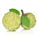 قشطة لبنانى